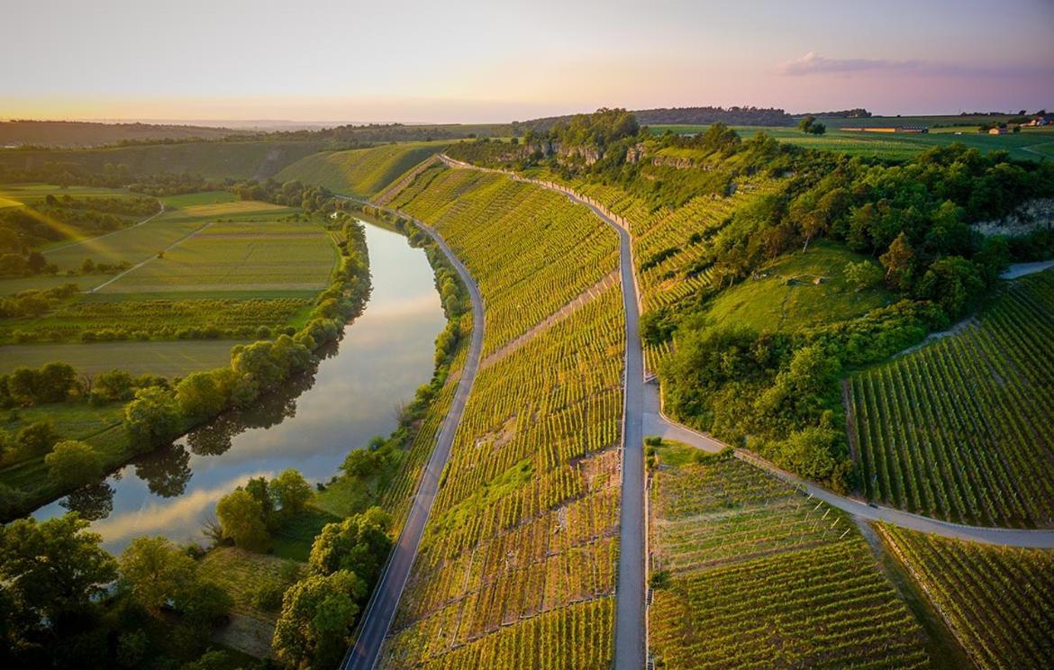 Exnicrum Wein . Genuss . Hotel Hessigheim Ngoại thất bức ảnh